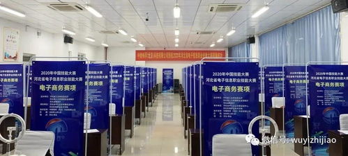 衡水市武邑職教中心教師在河北省電子信息服務業職業技能大賽中榮獲佳績，彰顯信息電子技術服務專業實力